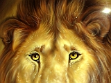 LION1.jpg